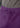 Eggplant